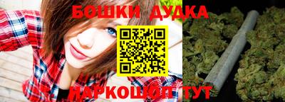МДПВ Лесосибирск