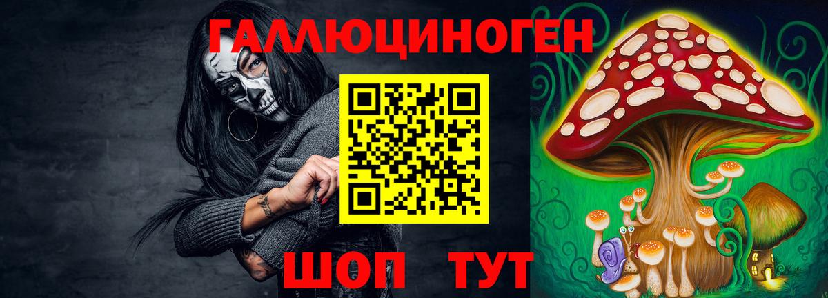 Псилоцибиновые грибы Psilocybine cubensis  Вход с VPN  Зима 